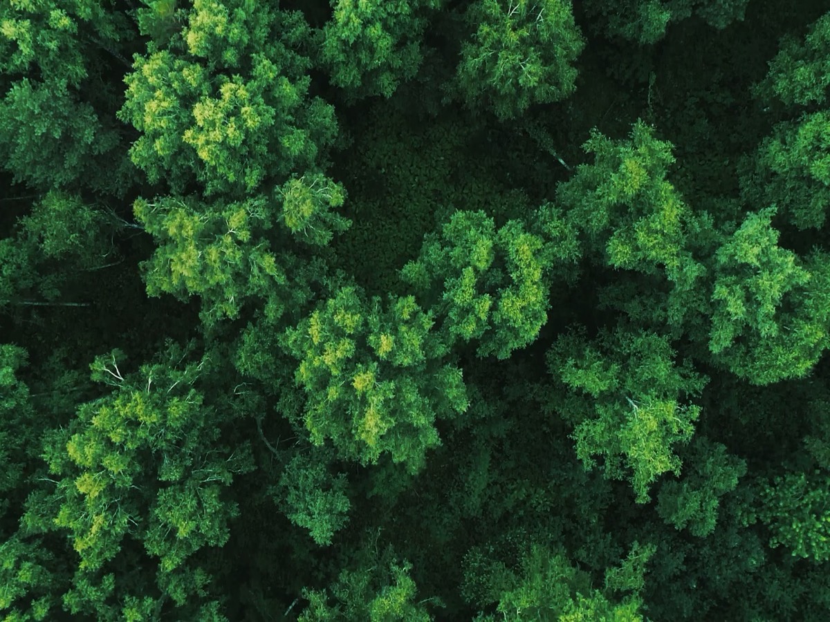 Poodom Meili — Shangri-La (boutique stay)