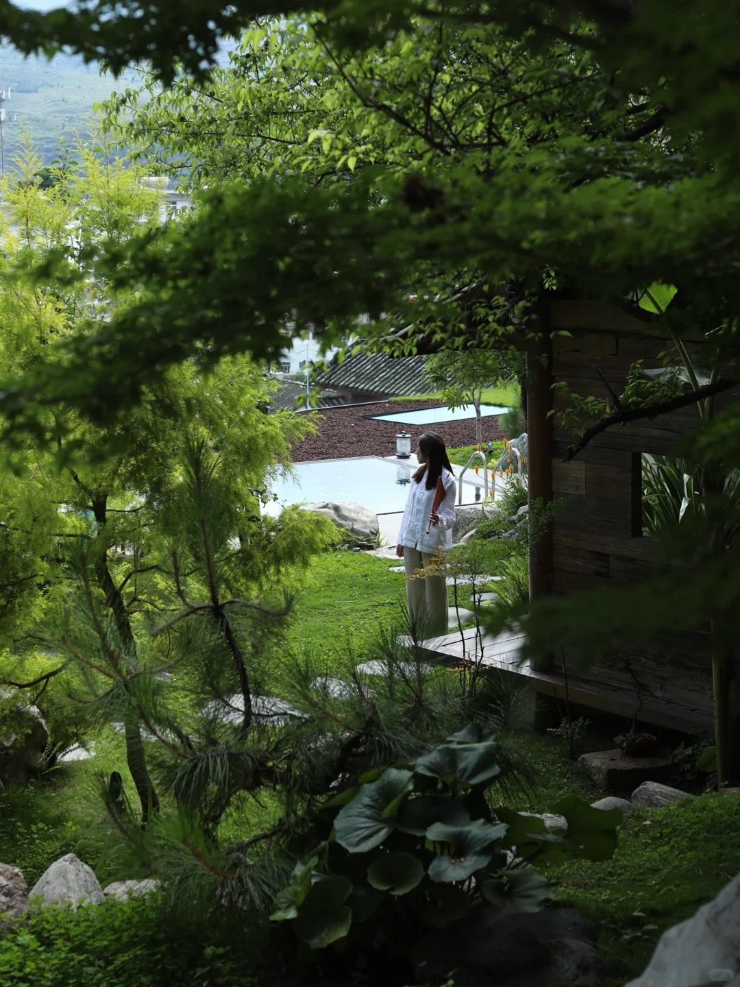 Pushan forest courtyard — timber structure and bamboo screening the open-air spa path