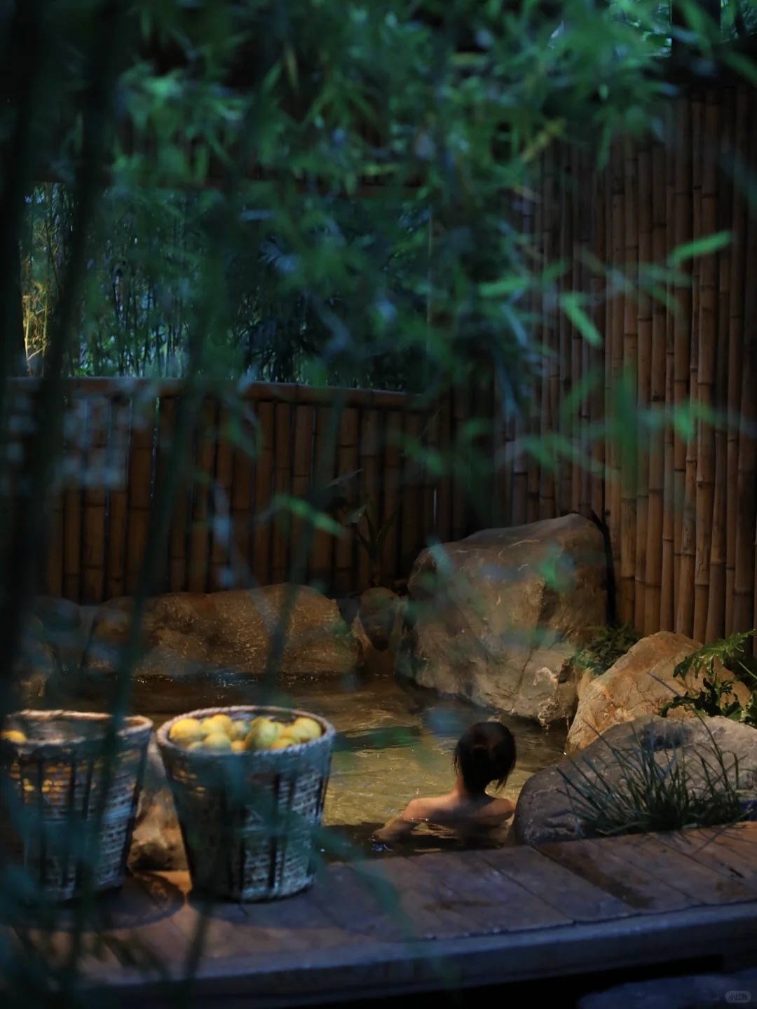 Pushan courtyard view — forest mist and bamboo over the timber roofline