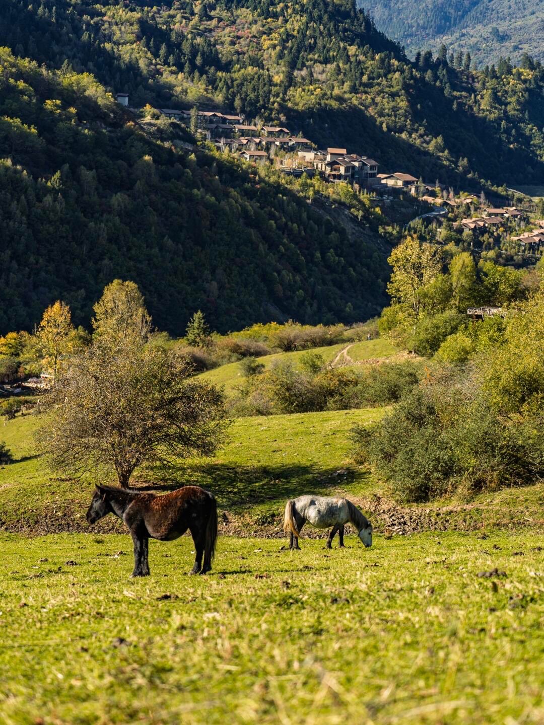 Rissay Valley, Ritz-Carlton Reserve — Jiuzhai Valley — Jiuzhai Valley (3)
