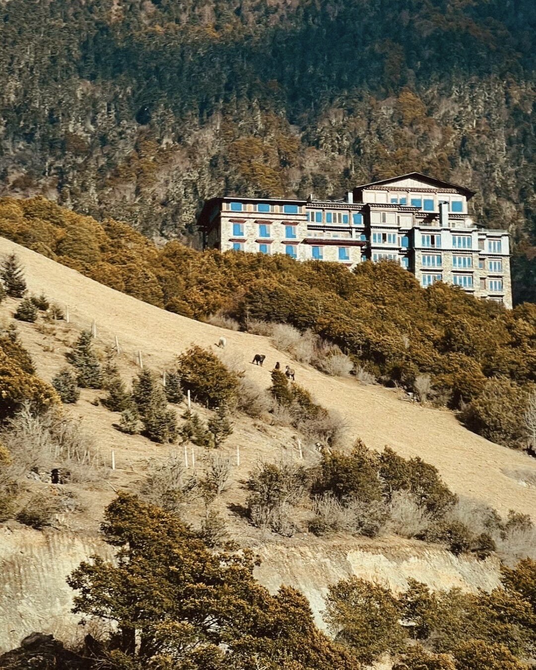 Songtsam Meili — Shangri-La — Shangri-La (4)