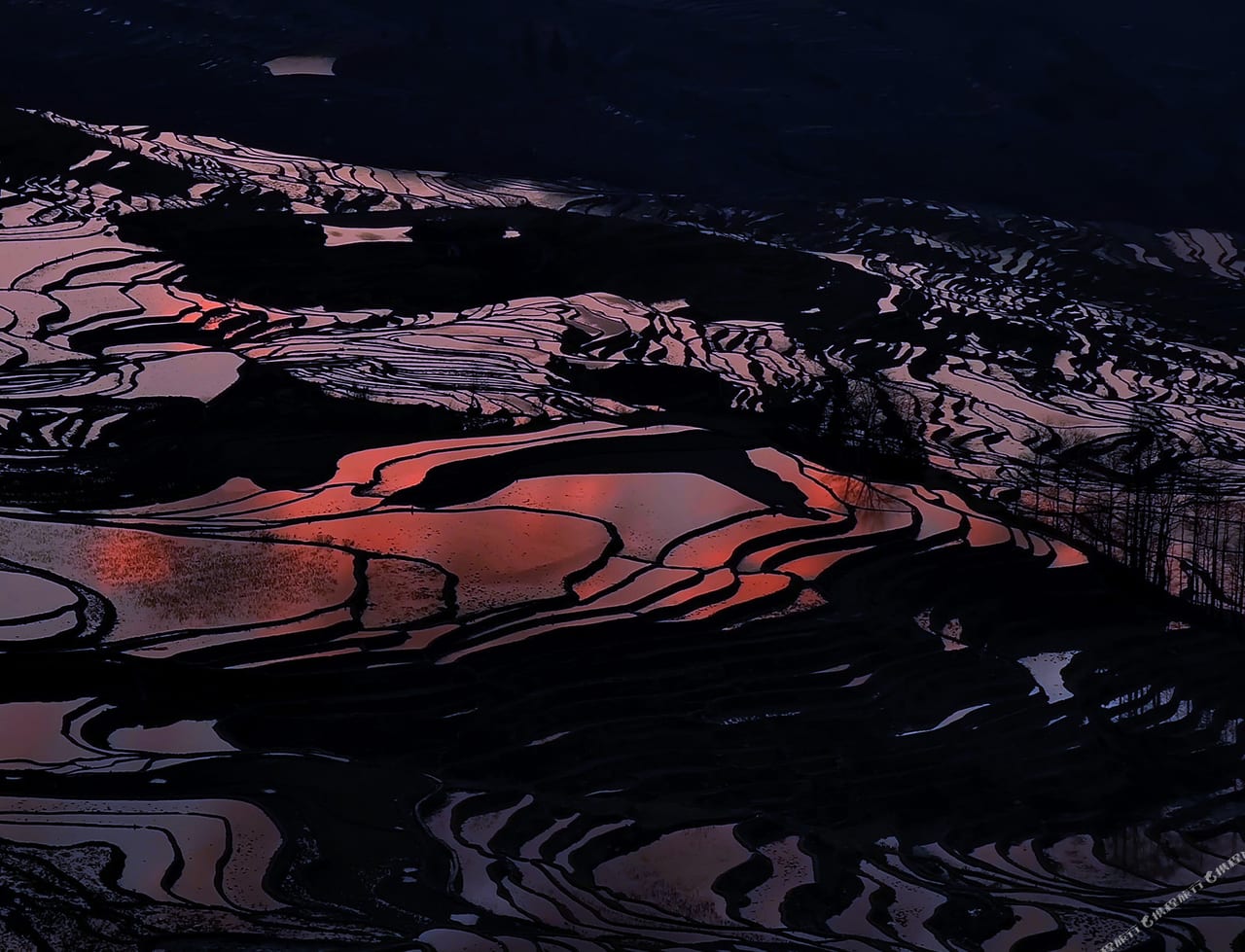 The flooded Yuanyang terraces catching last light, seen from Azheke