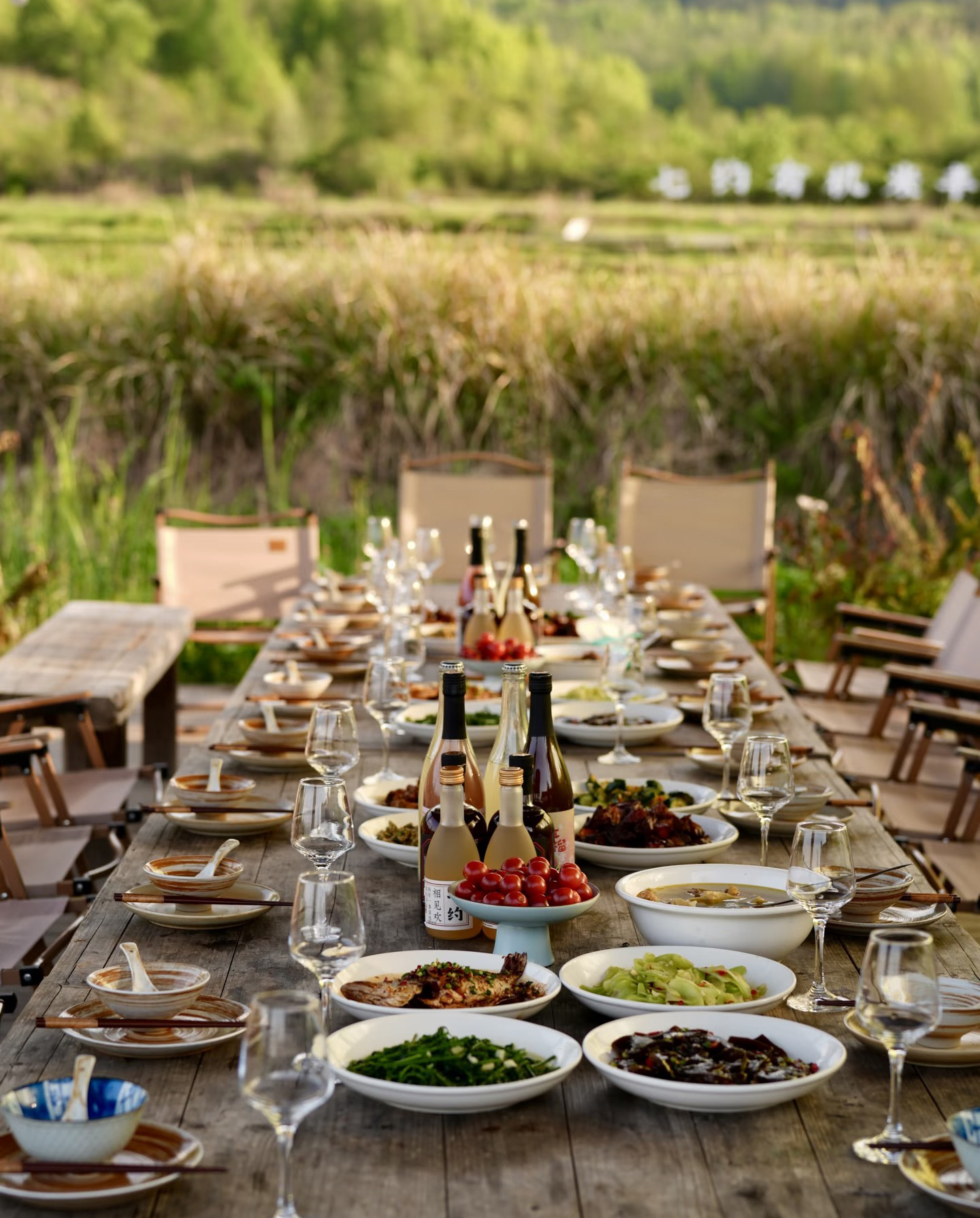 A long table laid for dinner out in the fields