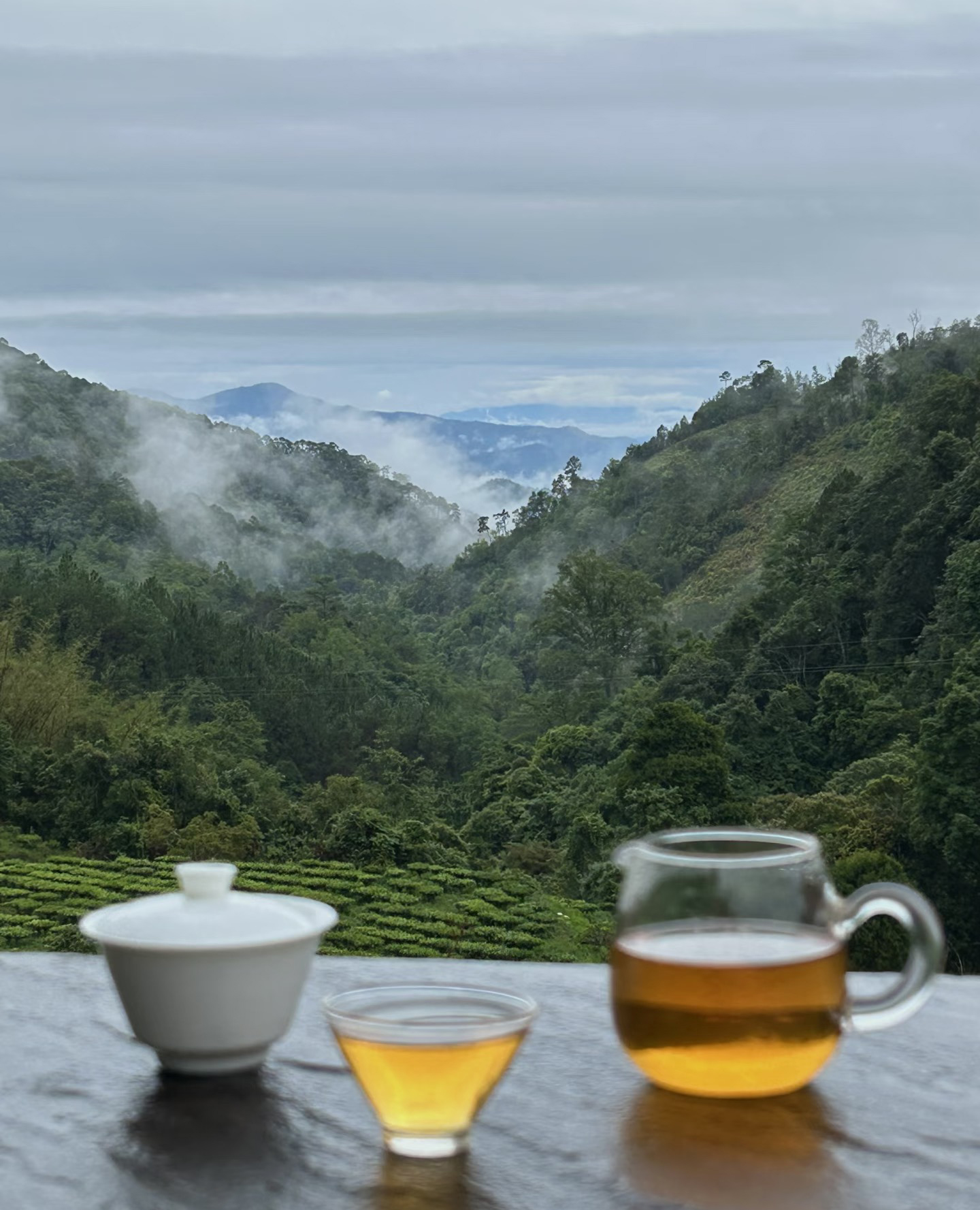 Tea poured on a terrace above a misty valley of tea gardens