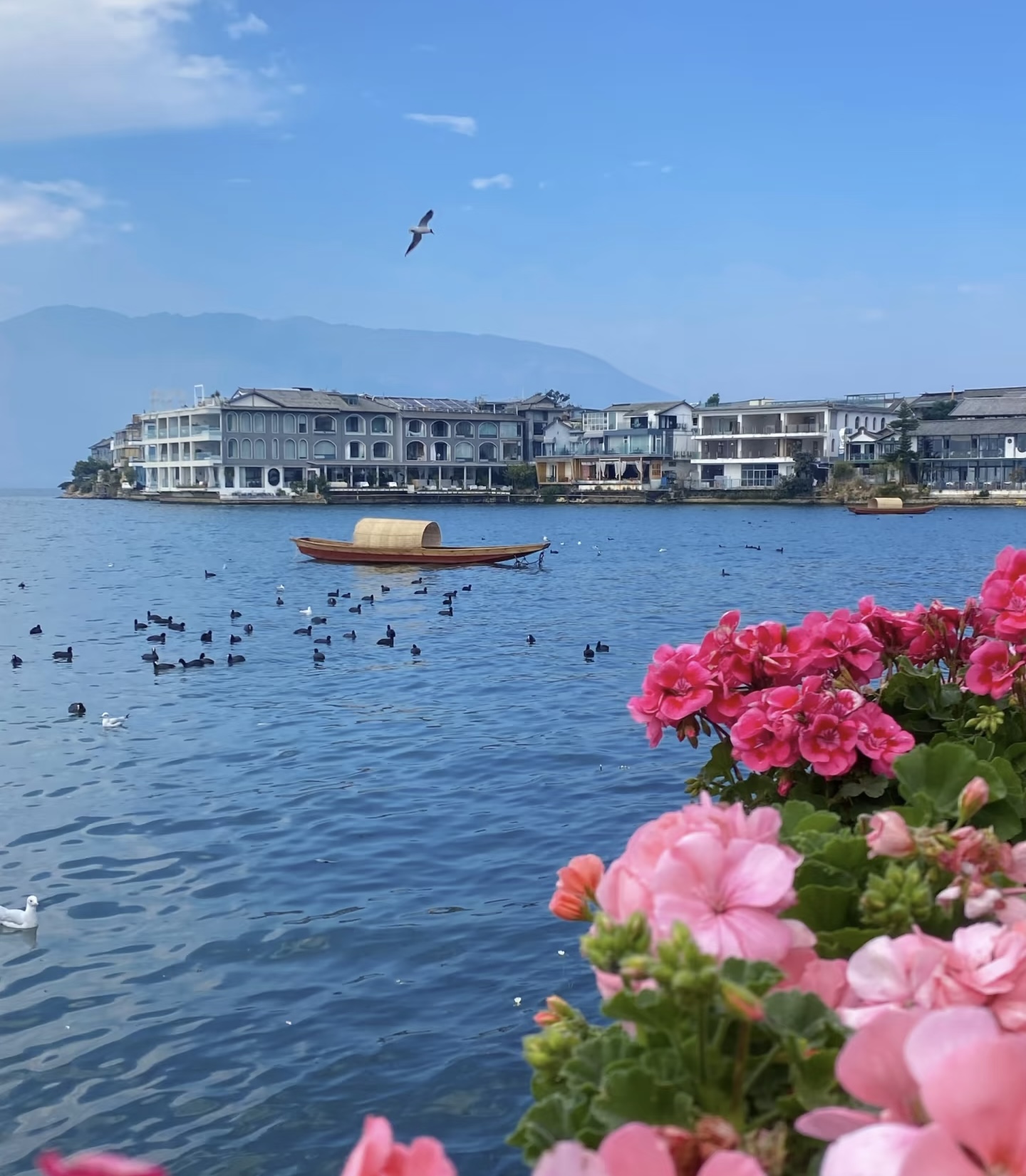 An Erhai waterfront village — red boat and gulls